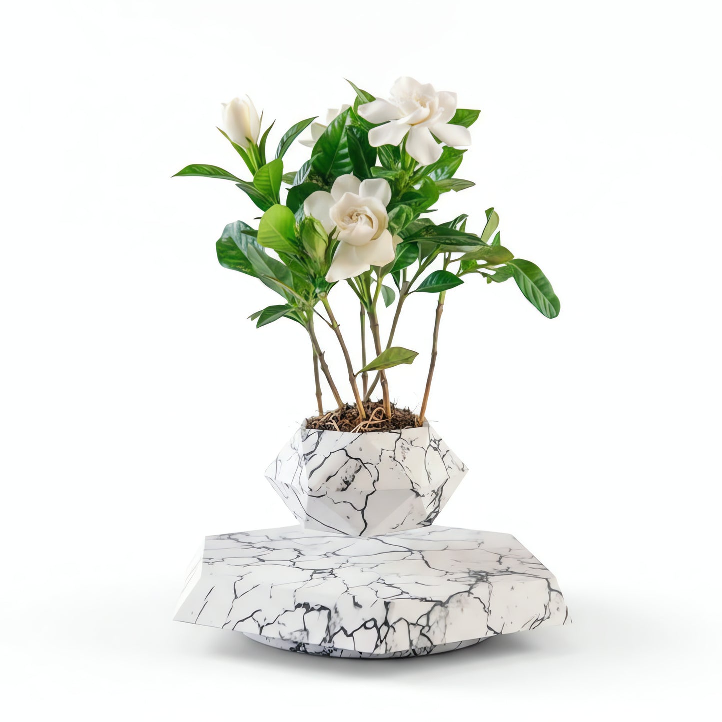 Magnetic Levitating Flower Pot - 360 Degrees Rotation, Home & Office Decor
