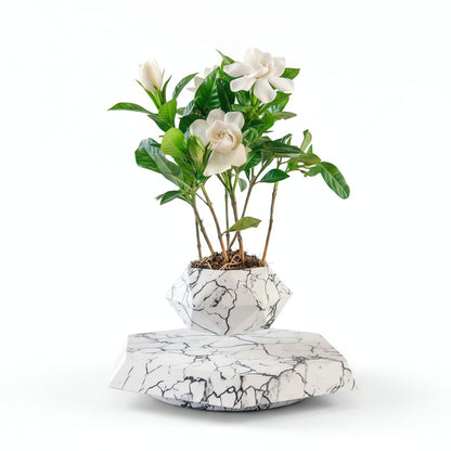 Magnetic Levitating Flower Pot - 360 Degrees Rotation, Home & Office Decor