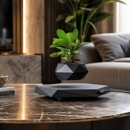 Magnetic Levitating Flower Pot - 360 Degrees Rotation, Home & Office Decor