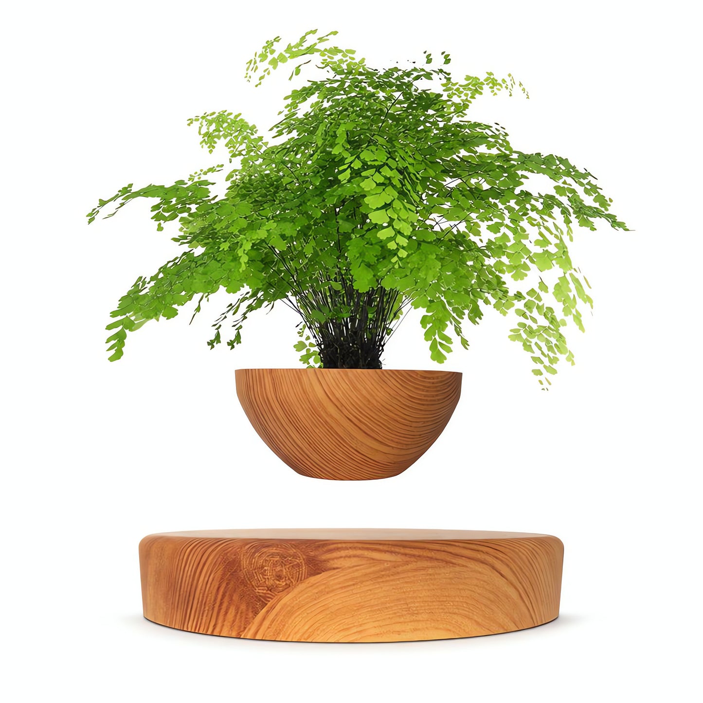 Magnetic Levitating Flower Pot - 360 Degrees Rotation, Home & Office Decor