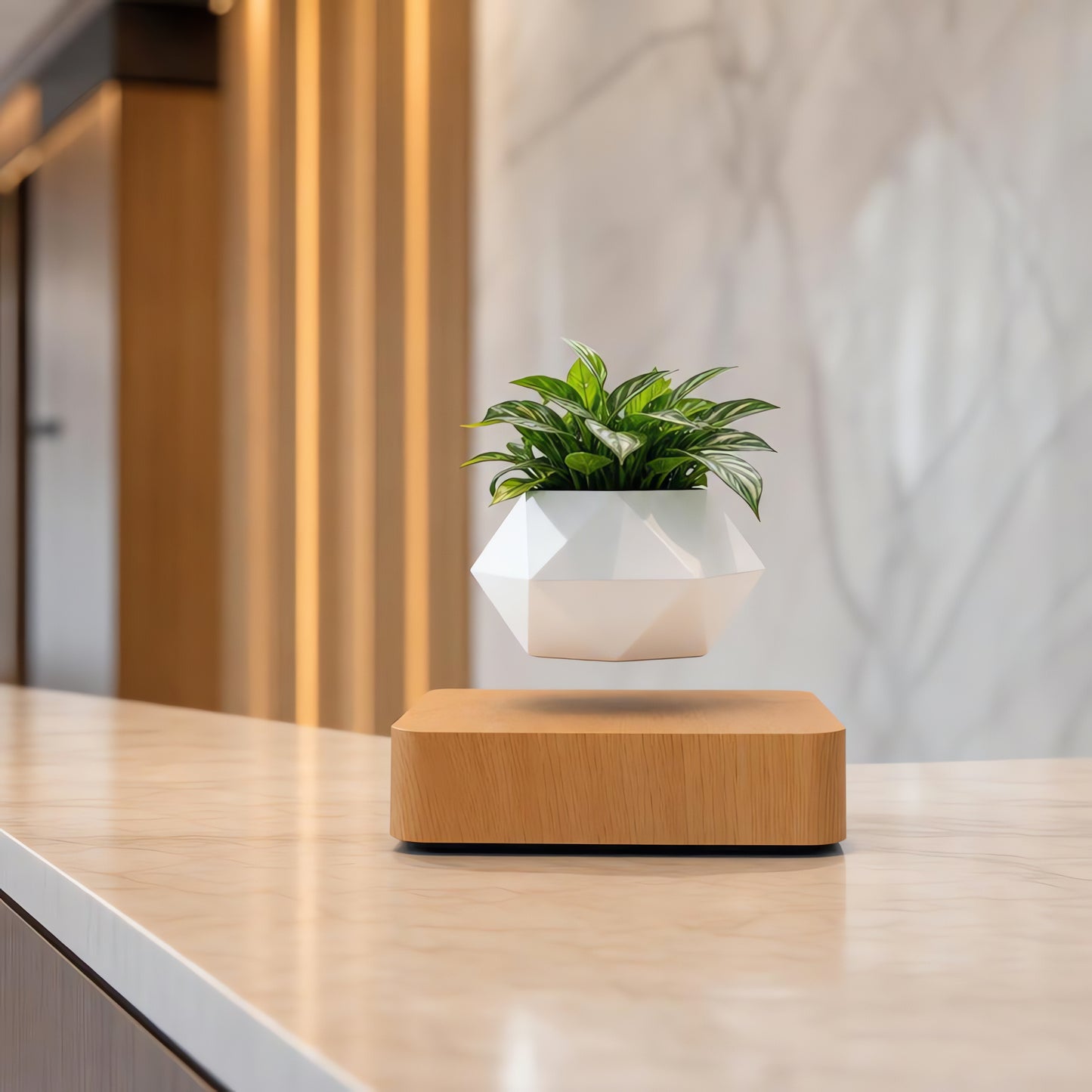 Magnetic Levitating Flower Pot - 360 Degrees Rotation, Home & Office Decor