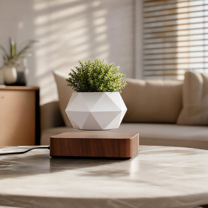 Magnetic Levitating Flower Pot - 360 Degrees Rotation, Home & Office Decor