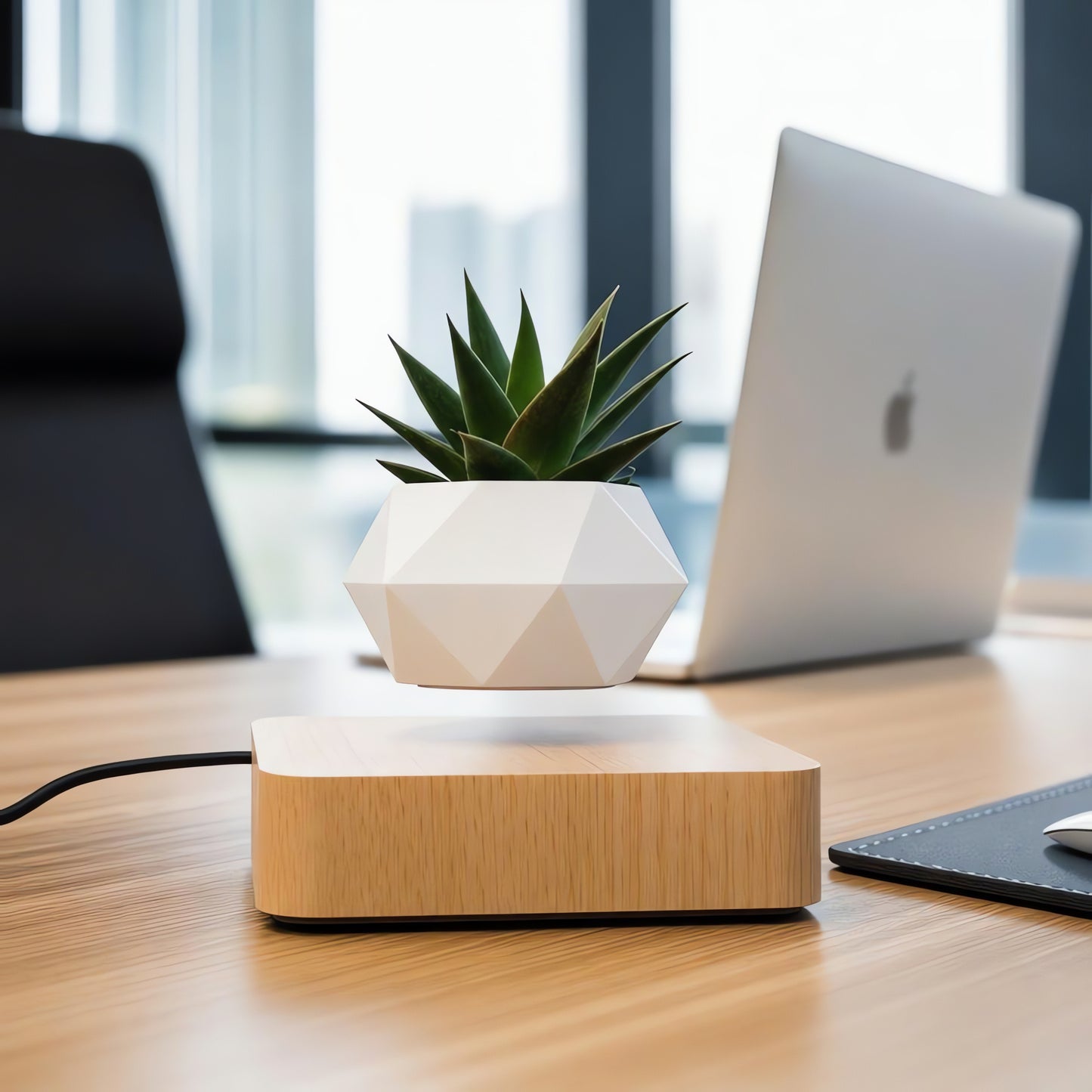Magnetic Levitating Flower Pot - 360 Degrees Rotation, Home & Office Decor