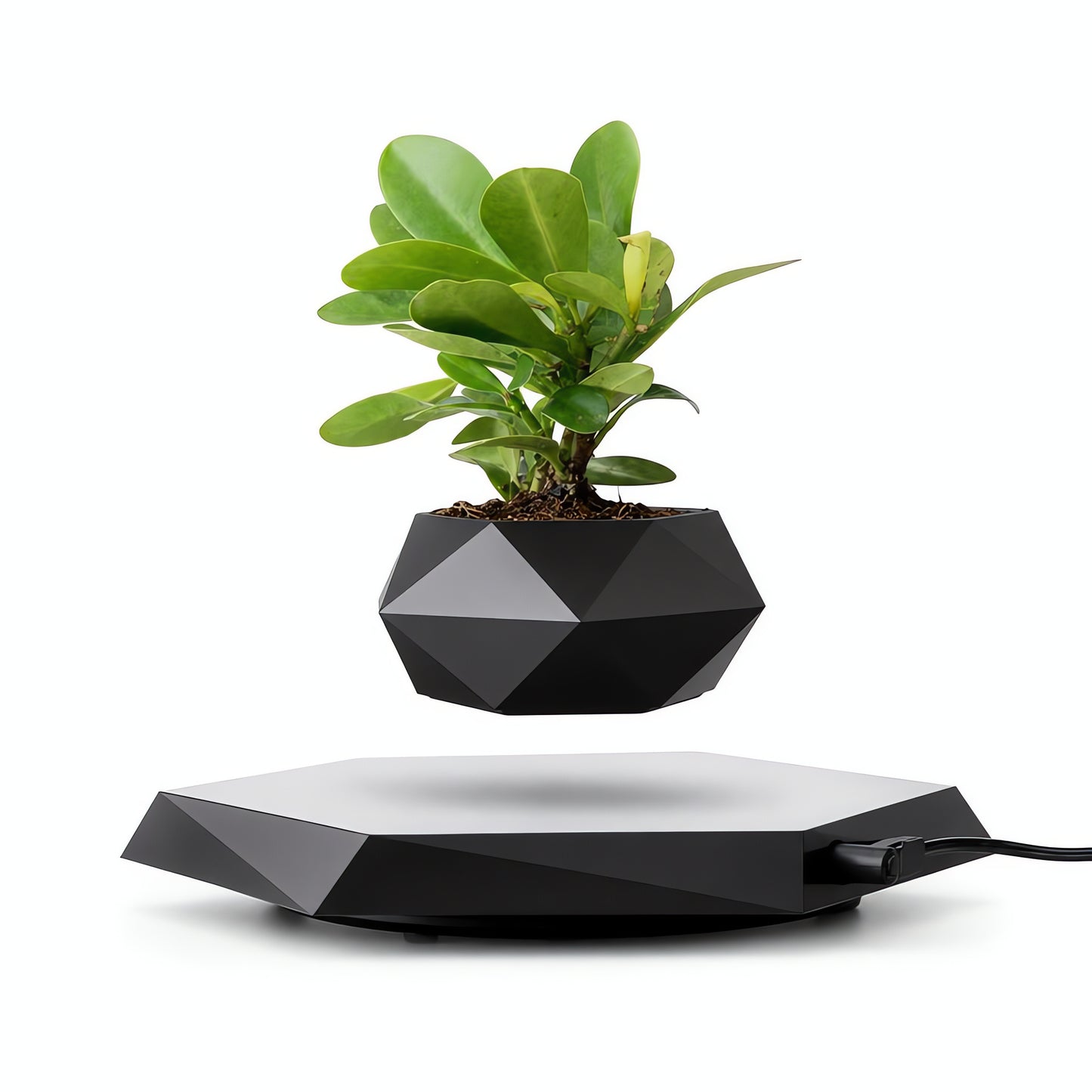 Magnetic Levitating Flower Pot - 360 Degrees Rotation, Home & Office Decor