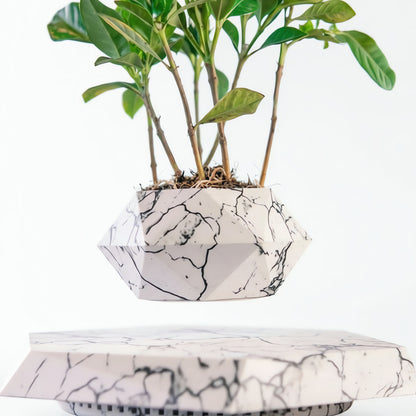 Magnetic Levitating Flower Pot - 360 Degrees Rotation, Home & Office Decor