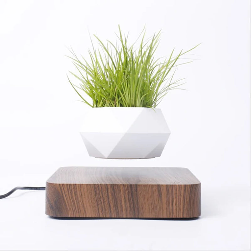 Hot Sale Levitating Air Bonsai Pot Rotation Planters Magnetic Levitation Suspension Flower Floating ...