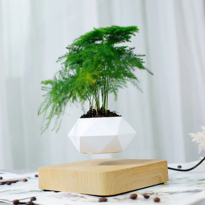Hot Sale Levitating Air Bonsai Pot Rotation Planters Magnetic Levitation Suspension Flower Floating ...